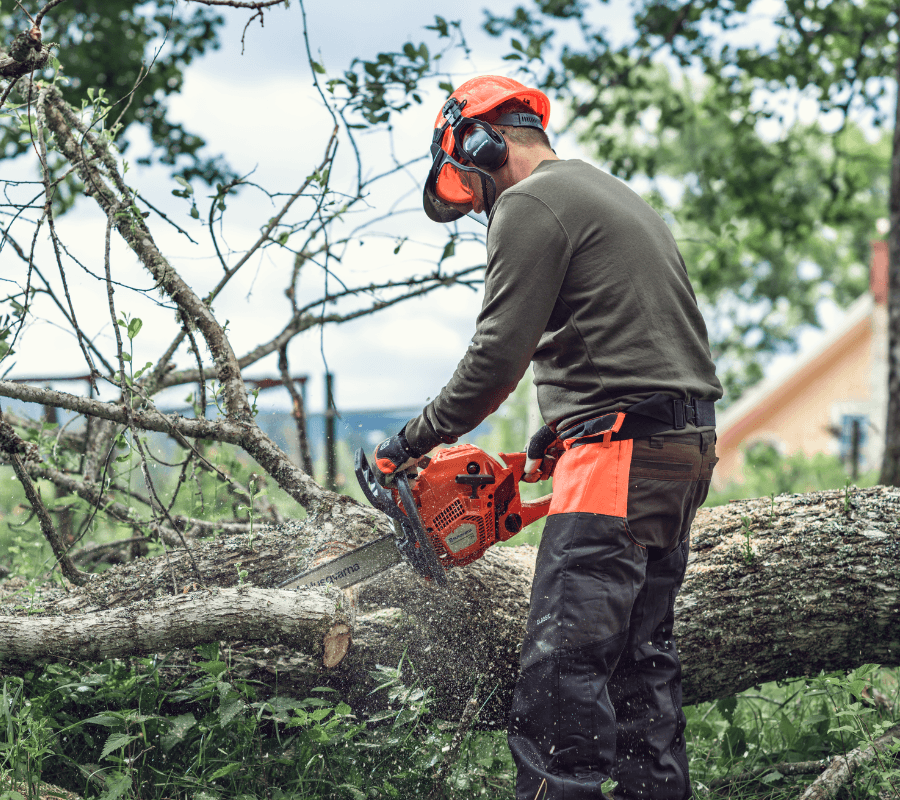 man with chainsaw chopping a piece of wood with protective clothing on